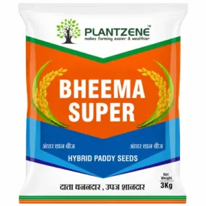 Bheema Super