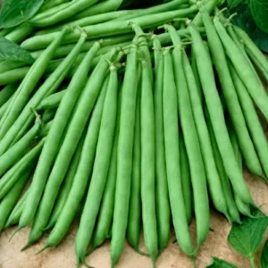 Beans