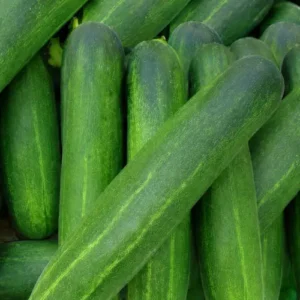 Cucumber