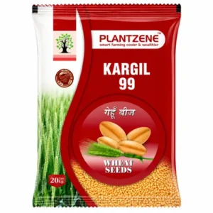 Kargil 99