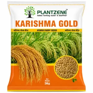 Karishma Gold