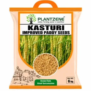 Kasturi