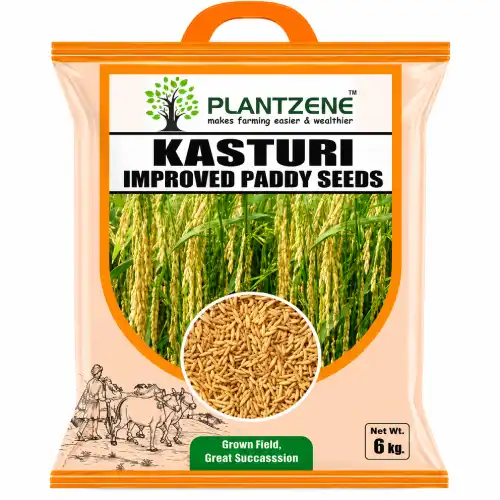 Kasturi