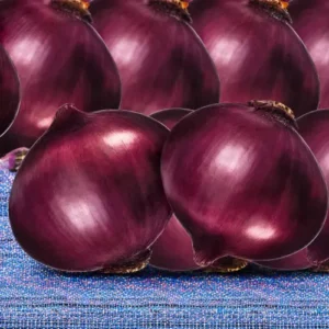Onion