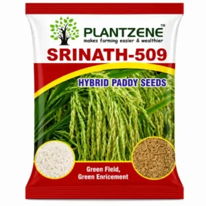 Srinath-509