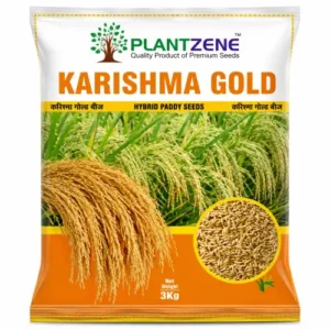 Karishma Gold