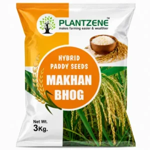 Makhan Bhog