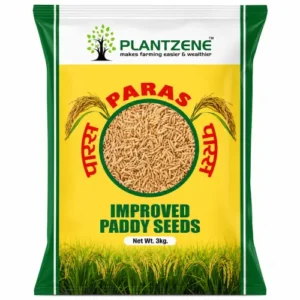 Paras