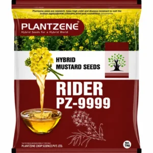Rider PZ-9999 (Hybrid)