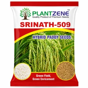 Srinath-509